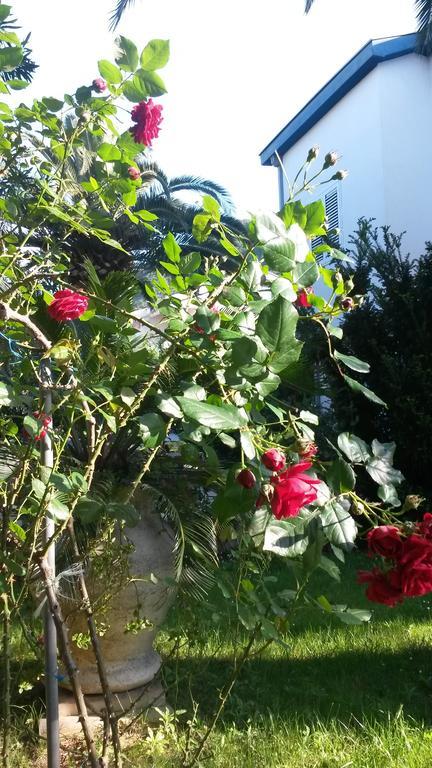 Apartament Becici
