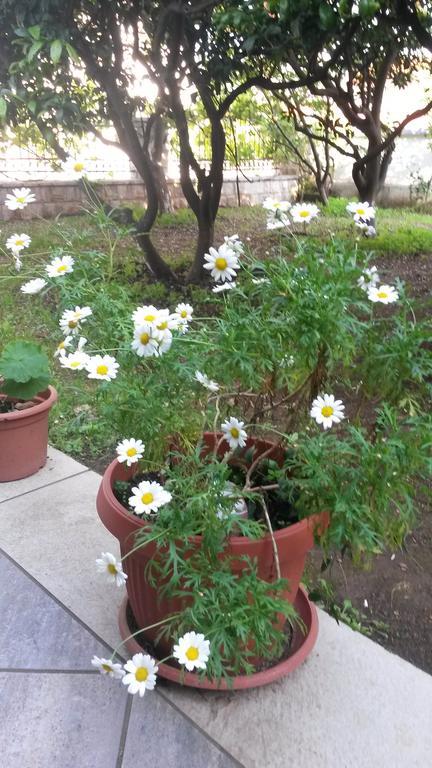 Becici Apartament