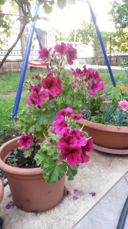 Apartament Becici *