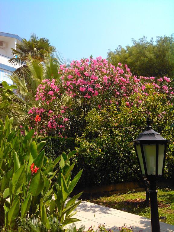 Becici Apartament Budva