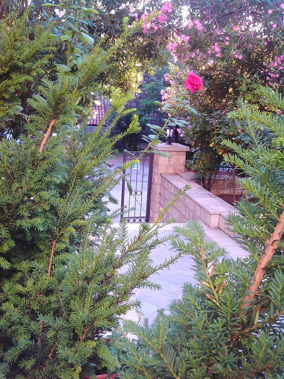 Becici Apartment Budva
